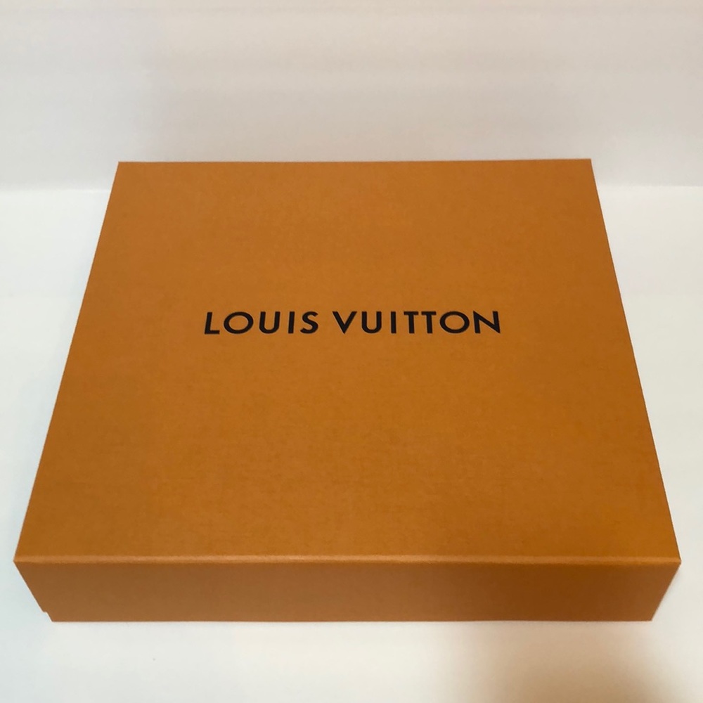 Louis Vuitton never full box